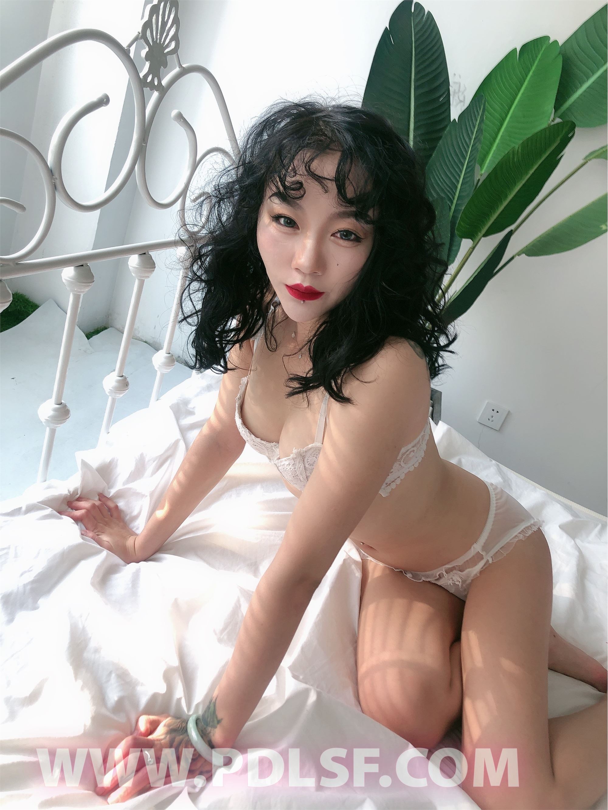 PDL潘多拉 2020.02.03 专辑No.276